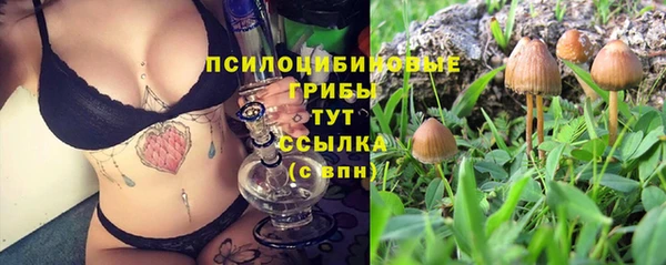 mix Алексин