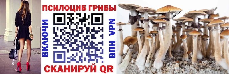 где купить наркотик  Апрелевка  Галлюциногенные грибы GOLDEN TEACHER 